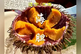 海胆富含丰富的氨基酸和谷氨酸，做成海胆馅饺子🥟，海胆焗蛋