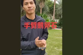 网上大师把鹅卵石拿到手上劈开 就是把网友的智商踩在地上摩擦