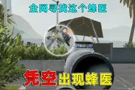 全网寻找这个蜂医，这究竟是三角洲新的刷新机制，还是三角洲人机视频封面