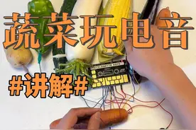 回复一下网友质疑！ #打击乐 #音乐就要这么玩 #小众乐器 #stylosette