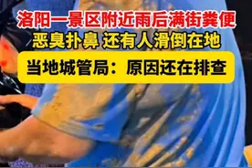 #洛阳 一景区附近雨后满街粪便，恶臭扑鼻，还有人滑倒在地。（果然视频）