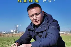 中铁各局从“基建狂魔”到“农业狂魔”的转型之路。 中铁十四局等大型央企转型种地能否成功？#中铁十四局种地 #科技创新 #机遇 #农业视频封面