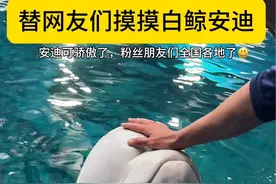 替网友们来摸摸#白鲸 @三亚·亚特兰蒂斯 #动物的迷惑行为 #海洋生物 #安迪蒂娜在亚特