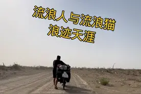 一人一猫浪迹天涯 骑行路上遇到一只流浪大灰猫，总是在后边尾随我，最后选择带着大灰猫一起做个运行者，大灰猫准备好了，我们以后有福同享有难同当，浪迹天涯，四海为家！#日常骑行 #骑行vlog #流浪猫  #流浪人与流浪猫 #vlog十亿流量扶持计划