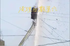 高压水枪清理泛滥成灾白鹳鸟巢穴#野生动物零距离 #动物的迷惑行为 #白鹳 #内容启发搜索 #上热门视频封面