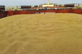 远洋船在码头上卸载完毕煤炭以后，船舶下一个航次要去巴西装载大豆。所以船上的水手们要把货舱清扫清洗干净，这就是煤改粮洗舱，把货舱备好用来装大豆的。视频封面