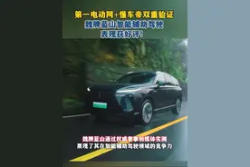 第一电动网+懂车帝双重验证，魏牌蓝山智能辅助驾驶表现获好评！