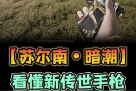 传世手枪【苏尔南•暗潮】详细介绍#和平精英PC模拟器