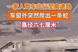 惊魂一刻！3月8日，广东东莞，#自驾途中车窗惊现一条长蛇 挂在玻璃上一动不动。当事人：发现后直奔汽修厂，一米多长的蛇就在底盘里……视频封面