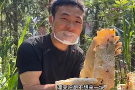 新巢蜜来了，满口爆汁甜比初恋#蜂巢蜜#土蜂蜜#蜂狂小成哥视频封面