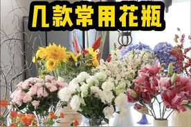 我常用的几款花瓶，视频有点长，慢慢看#花与生活 #花瓶 #鲜花 #好喜欢我的家 #好看的花一定要分享给你