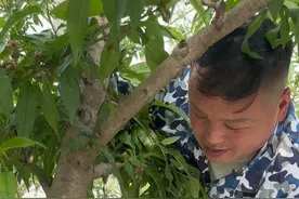 小妙招除蜗牛 #我在网上学种地 #来抖音学农枝 #新农人计划2025视频封面