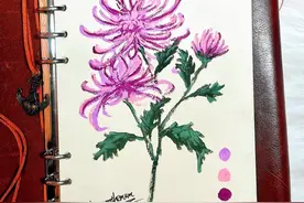 每日学画一花 秋日菊花的画法 油画棒教程｜新手入门油画棒教程｜#抖音插画师联盟 #抖音插画大赛 #GAF广州插画艺术节  #油画棒
