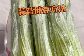 又是到了河南人一天三顿都是蒜苔的时候了，妈妈给安排的杞县蒜苔必须的保存起来留到中秋，过年吃#蒜苔#蒜苔的保存方法视频封面