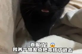 黑猫是怎么把自己设置为仅自己可见的？？ #黑猫#隐身术#蓝氏天然乳鸽粮 #蓝氏烘焙猫粮视频封面