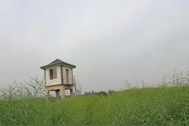 小野沟里也有惊喜 #野河野钓 #2025dou来钓鱼 #原来钓鱼才是抖音运动顶流视频封面