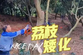 #树枝修剪 #我的乡村生活 #果园管理