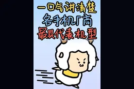 一口气给你讲清楚，各厂商最具代表的手机系列！#手机系列视频封面