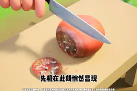 新手速通攻略教学 #曙光重临  #曙光大陆抓库比