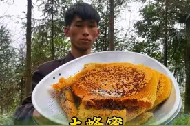 来自大山里的美味 ，纯天然野生蜂蜜视频封面