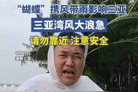 台风“蝴蝶”携风带雨影响三亚，三亚湾风大浪急，请勿靠近，注意安全！（记者张德明 谢是能）#台风蝴蝶