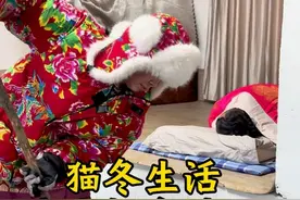 请问南方朋友这是你们心目中火炕的烧法不 来集合！烧一个南方朋友们心目中的东北火炕……#东北火炕 #东北大炕 #东北猫冬生活 #大娟子回村 #东北的冬天视频封面