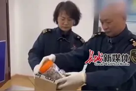 蛇年的第一个受害者出现了！海关查获1.2公斤生腌响尾蛇，邮件申报为“零食” 气味熏人… #响尾蛇 #社会百态