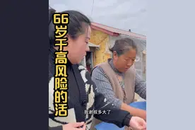 东北林区66岁还能上树采摘松子，#我的乡村生活 #记录真实生活