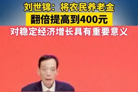刘世锦：将农民养老金翻倍提高到400元 对稳定经济增长具有重要意义视频封面