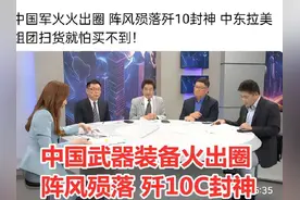 - 中国军火火出圈 阵风殒落歼10封神 中东拉美组团扫货就怕买不到