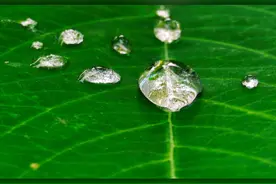 感受一下长焦微距带来的震撼 #长焦微距 #科技数码 #小米15ultra