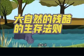 #大自然的残酷的生存法则#动物科普#动物冷知识 #动物世界的生存法则 #内容启发搜索视频封面