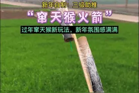 过年自制：三级助推·窜天猴火箭！新年氛围感拉满#窜天猴 #自制玩具 #花式放炮 #亲子手工