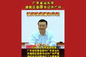 广东省汕头市潮南区委原书记许广圻严重违纪违法被开除党籍和公职 #违纪违法