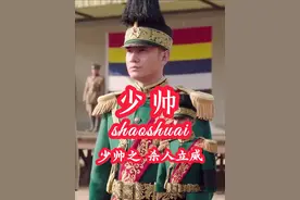 杨宇霆被处决之后胡兰春蹦着高的要为杨宇霆主持公道#少帅视频封面
