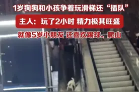 1岁狗狗和小朋友争着玩滑梯还“插队”，主人：玩了两个小时，精力极其旺盛。（视频：@临沂小永说媒 @嗯哼/ ）视频封面