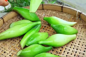 水葫芦也叫凤眼兰，在东南亚地区，水葫芦是一种食用野生蔬菜视频封面