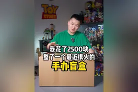 2500块的手办盲盒，都能开出什么？没想到最后是这样的？ #盲盒#手办 #大人也要玩玩具