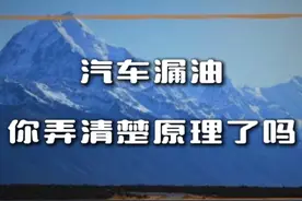 漏油治不好，我来给你支招～ #汽车漏油 #漏油 #汽车知识 #汽车知识分享 #漏油滑车视频封面