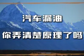 漏油治不好，我来给你支招～ #汽车漏油 #漏油 #汽车知识 #汽车知识分享 #漏油滑车视频封面