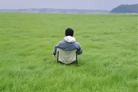 这个春天奔赴鄱阳湖看草海 #治愈系风景视频封面