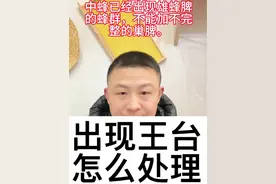 蜜蜂出现雄蜂和王台要怎么处理。#养蜂人解说 #分蜂热#雄蜂#蜜蜂王台#养蜂技术分享视频封面