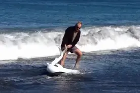 大蓝鲨被搁浅在沙滩上，好心的老人将它拖回大海 #内容启发搜索 #野生动物零距离 #鲨鱼 #动物救援视频封面