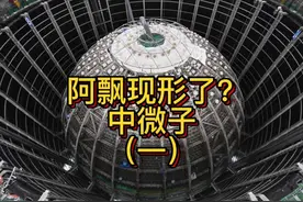 阿飘终于现形了？！一个视频带你了解传说中的中微子#中微子视频封面