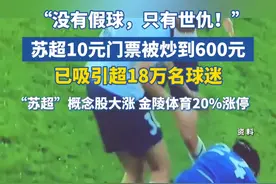 “没有假球，只有世仇！”苏超10元门票被炒到600元，已吸引超18万名球迷，“苏超”概念股大涨，金陵体育20%涨停