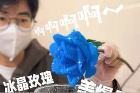 啊啊啊啊啊！！这冰晶玫瑰实物真的是美爆了！！！ #冰晶玫瑰 #手工diy #手工玫瑰 #我在家里搞创作 #美出高级感