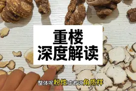 重楼 深度解读 教你一些你能用到的知识 #重楼#七叶一枝花