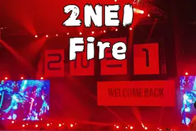 I go by the name of CL of 2NE1!#2NE1 #Fire