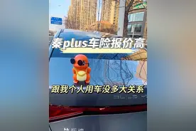 秦plus第二年保险价格高，都说是个人的问题，实际我没跑网约车