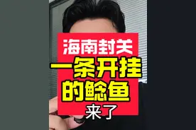 海南封关，一条开了挂的“鲶鱼”来了。#股民交流 #海南封关运作是什么意思 #海南自贸港 #鲶鱼效应 #海南视频封面